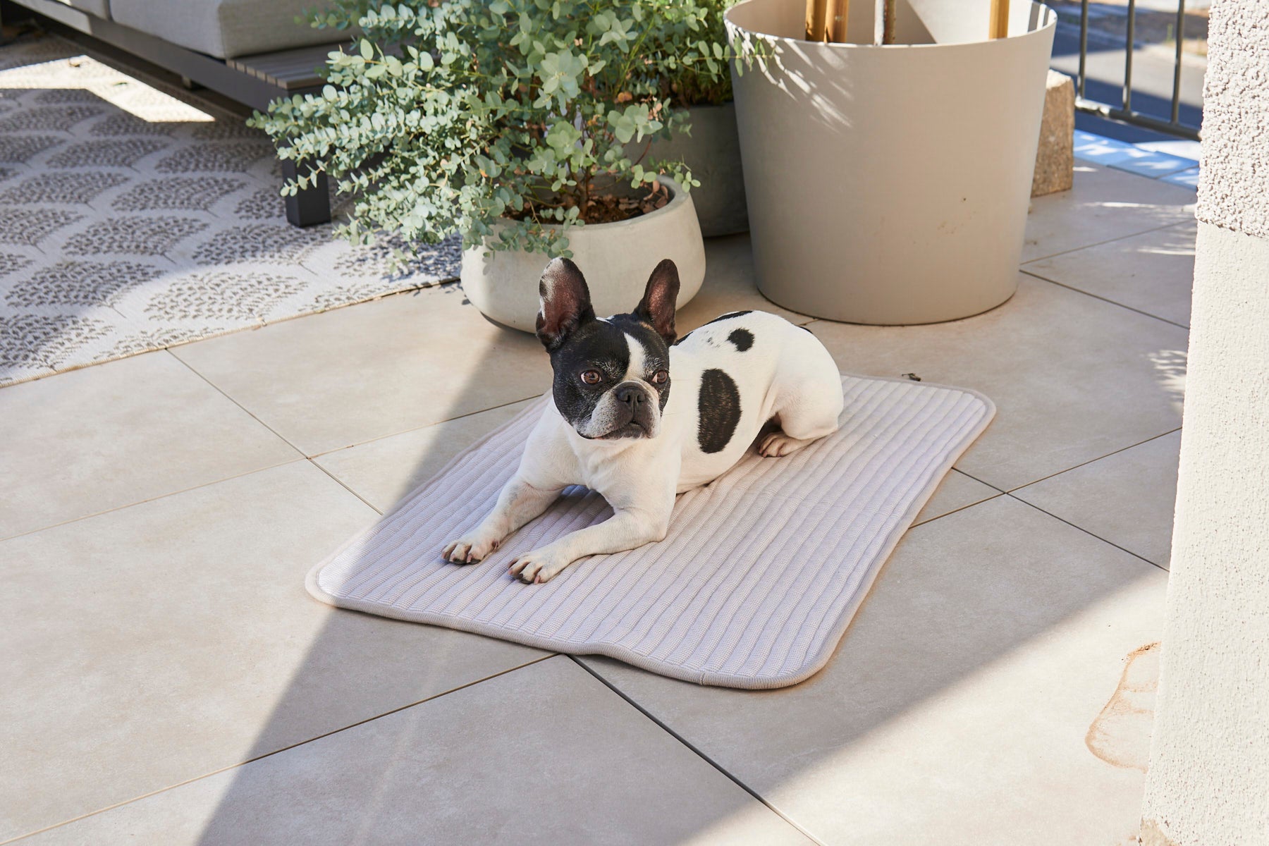 Pet resting on MiaCara Onda ribbed grey blanket, outdoor, cozy and elegant bedding from Lumi Pets Sleep collection
