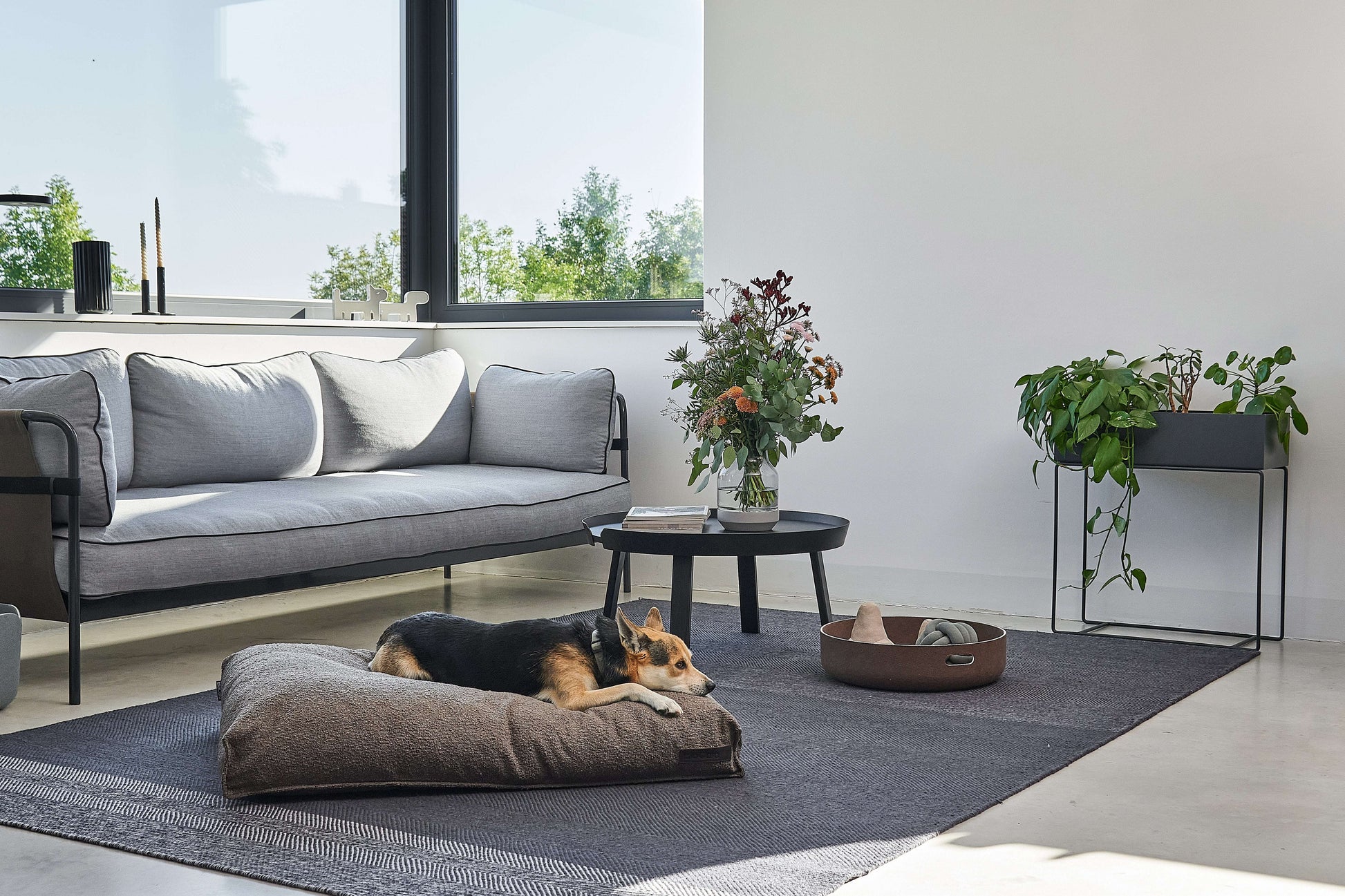 Dog lying on MiaCara Mondo brown cushion in a living room, orthopedic support and stylish minimalist bed from Lumi Pets Sleep collection.
