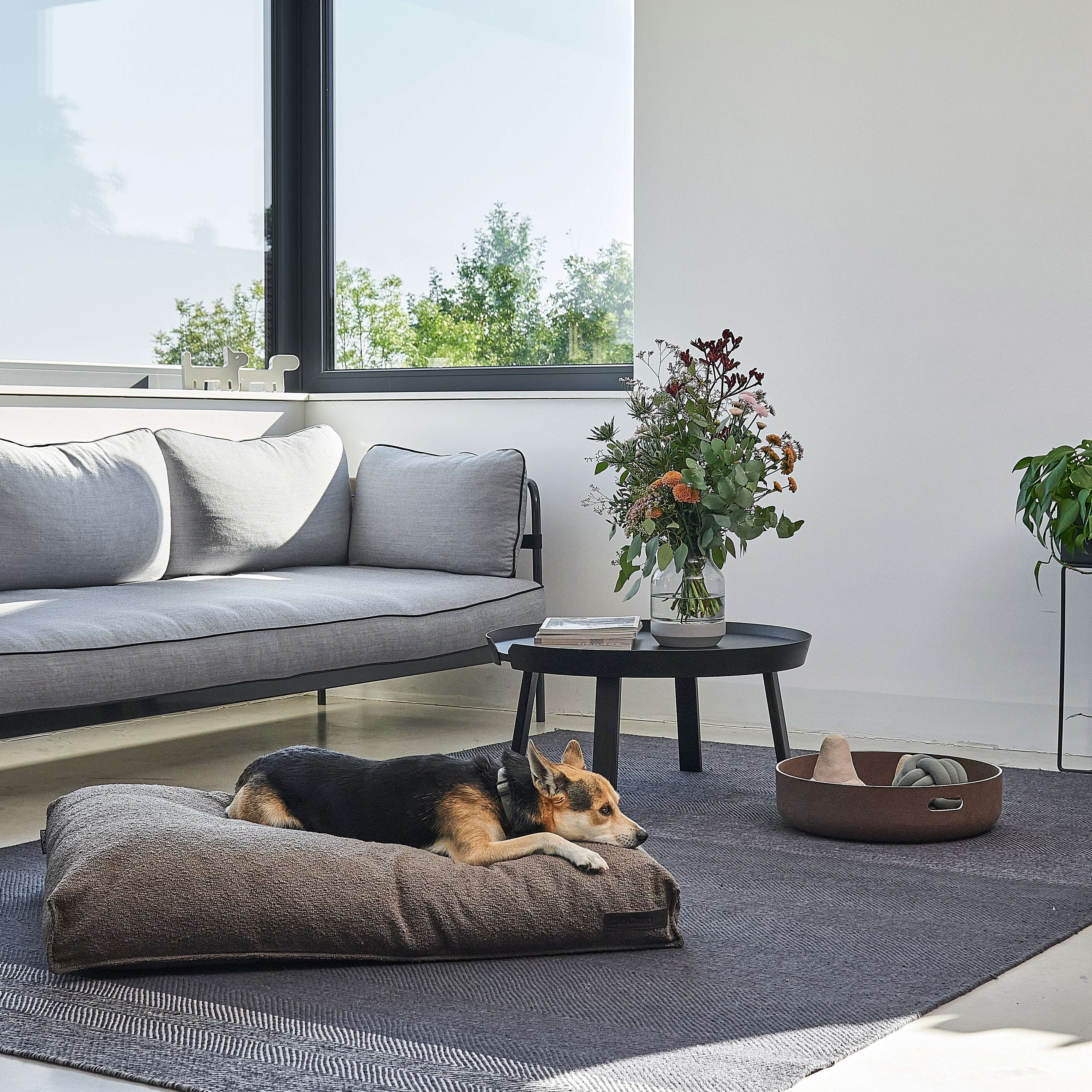 Dog lying on MiaCara Mondo brown cushion in a living room, orthopedic support and stylish minimalist bed from Lumi Pets Sleep collection.