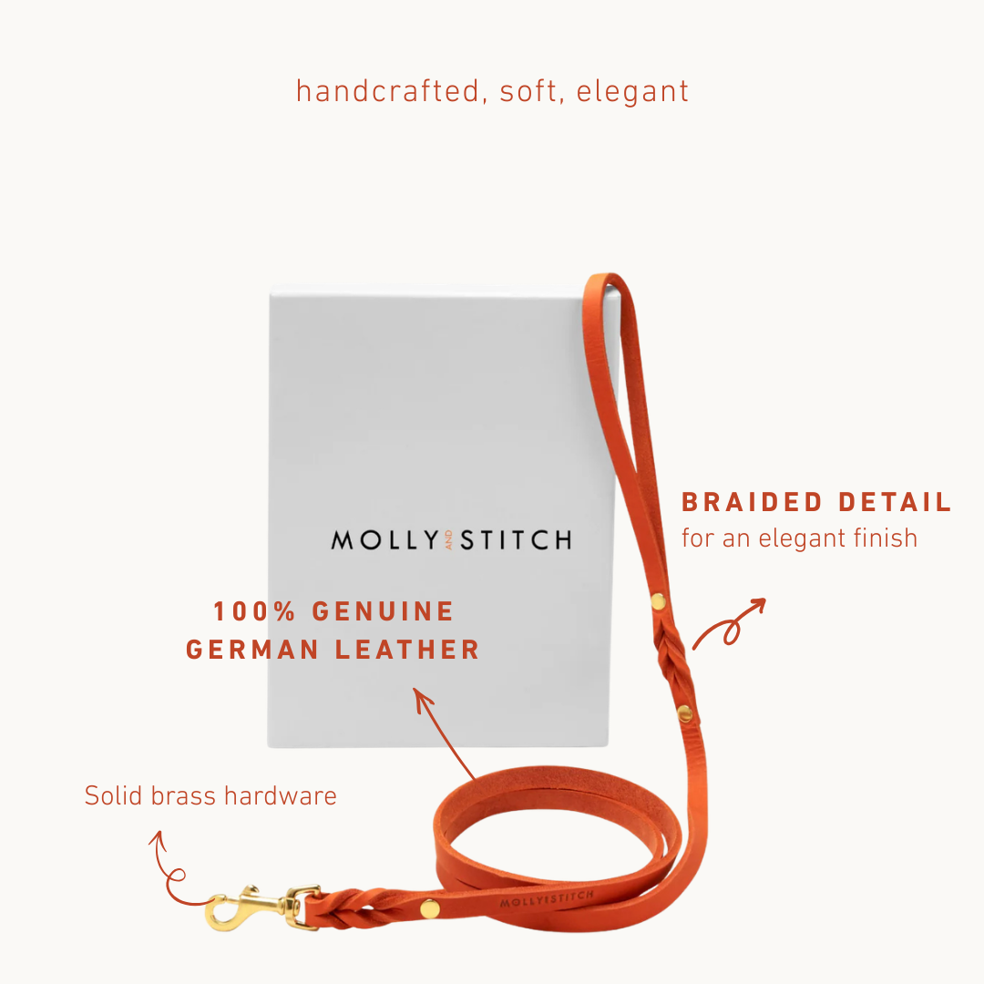 Handmade Butter Leather Dog Leash