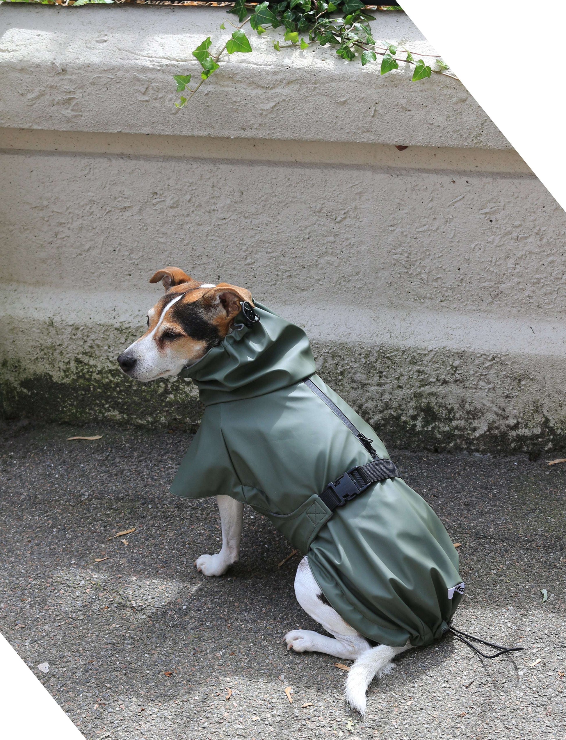 Dog wearing Tadazhi olive-green waterproof raincoat, stylish and functional pet outerwear from Lumi Pets Wear collection.