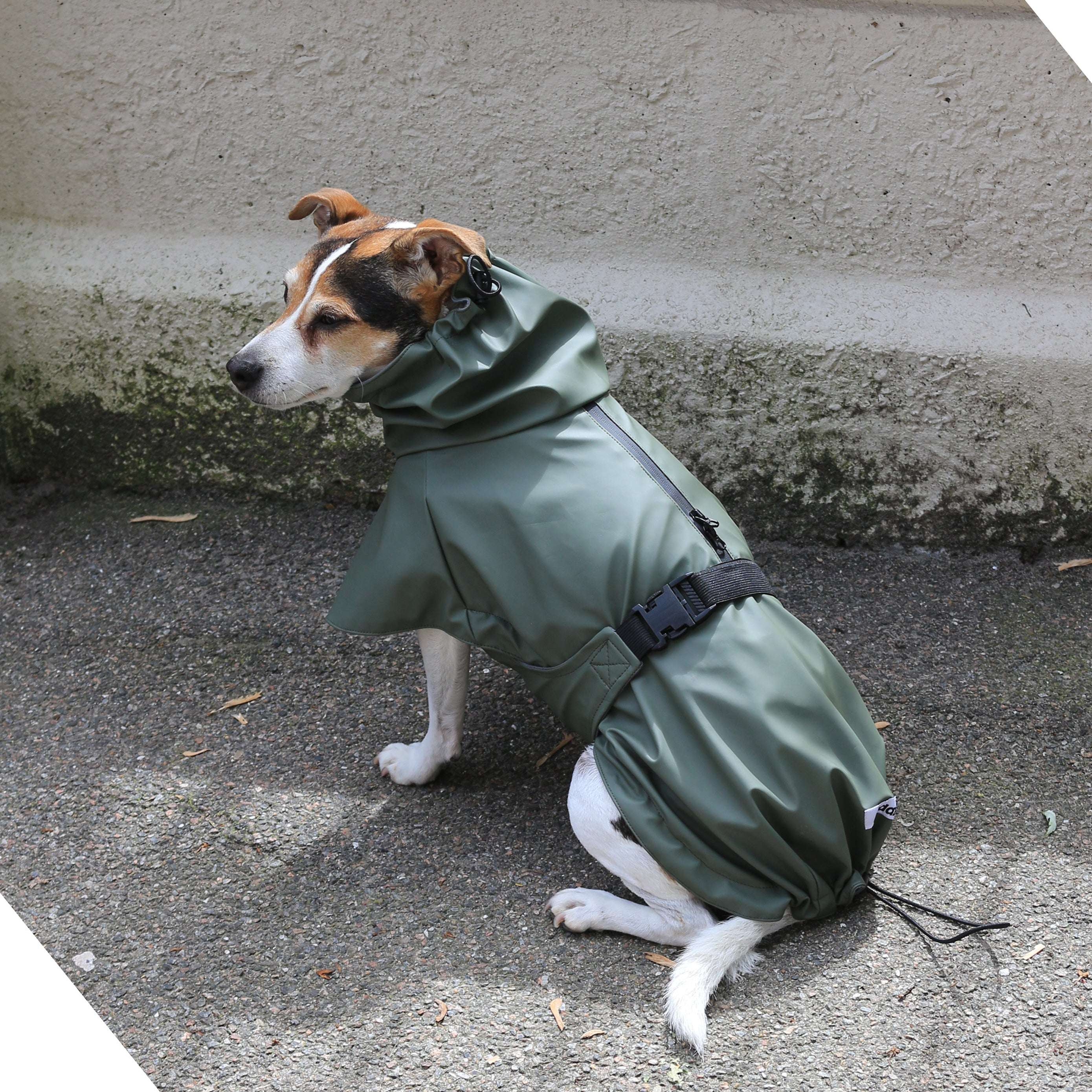Dog wearing Tadazhi olive-green waterproof raincoat, stylish and functional pet outerwear from Lumi Pets Wear collection.