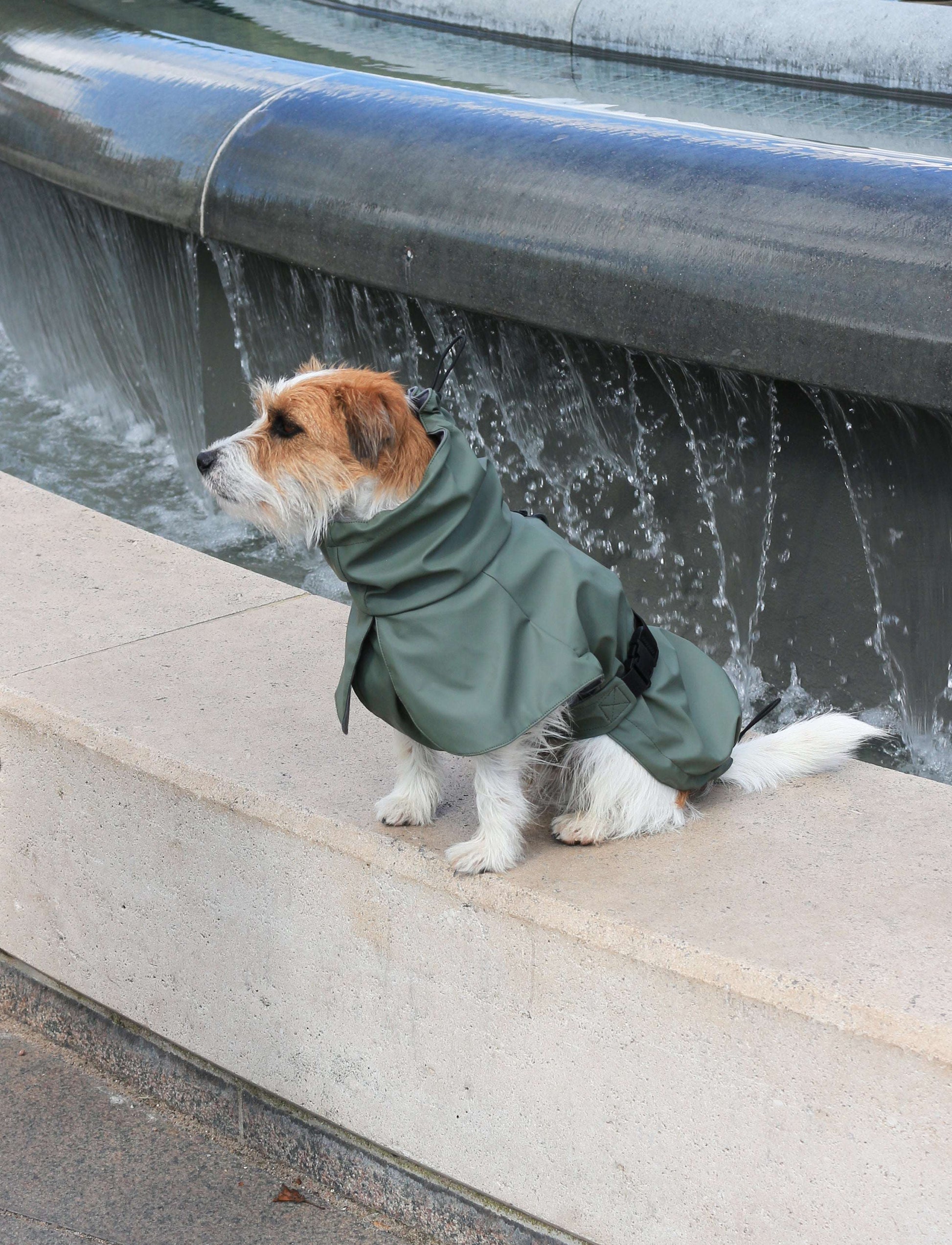 Dog wearing Tadazhi olive-green waterproof raincoat, side view stylish and functional pet outerwear from Lumi Pets Wear collection.
