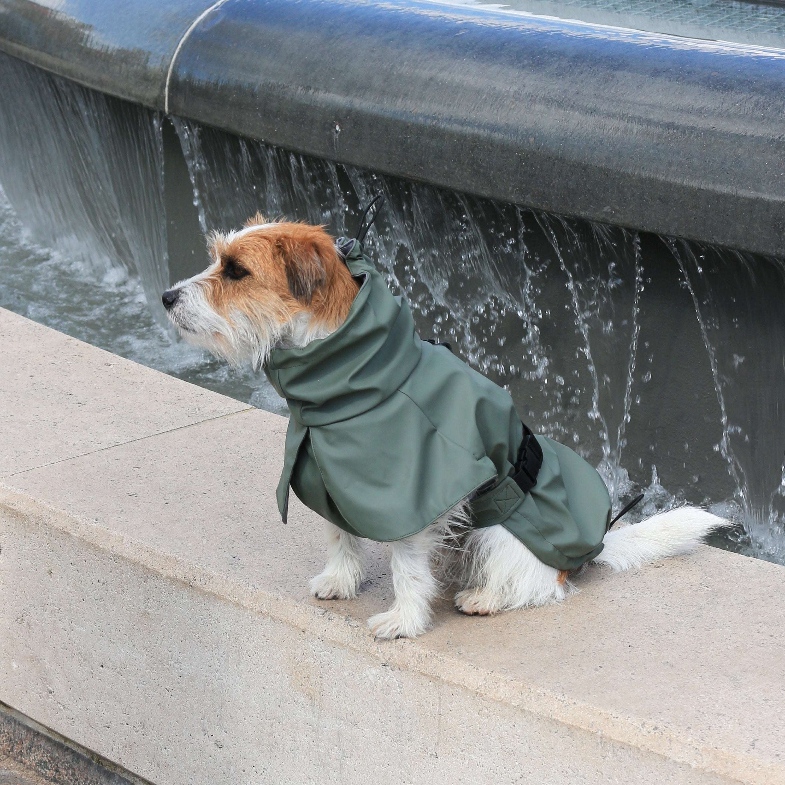 Dog wearing Tadazhi olive-green waterproof raincoat, side view stylish and functional pet outerwear from Lumi Pets Wear collection.