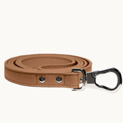 brown vegan leather dog lead with polished silver clasp, minimalist and durable design from Lumi Pets Walk collection.