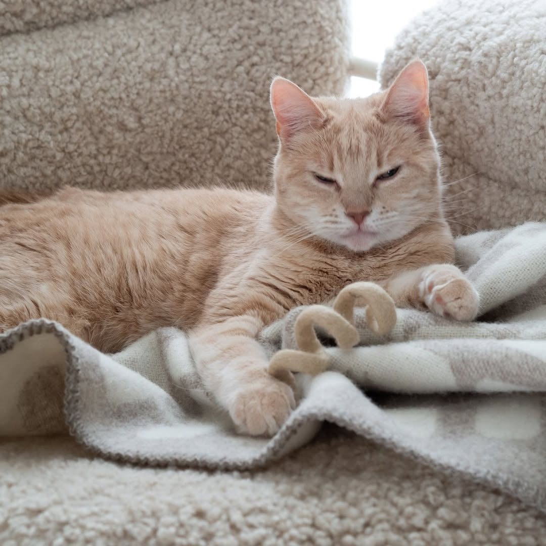 Natural Felt Wool Cat Toy
