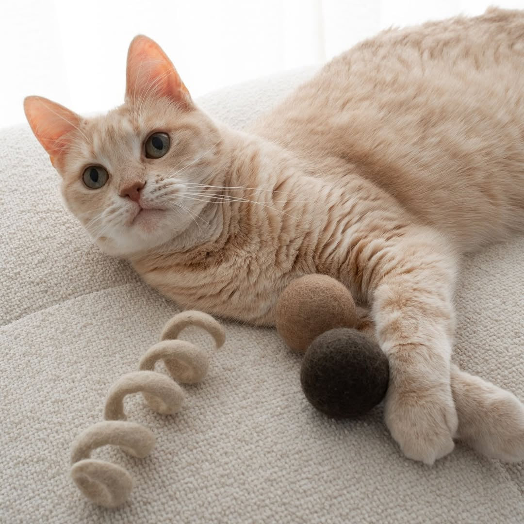 Cat playing with a toy on a light-colored surface