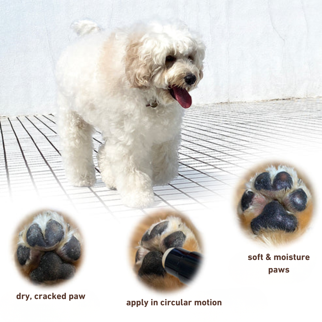 Silk Care Balm for Paws