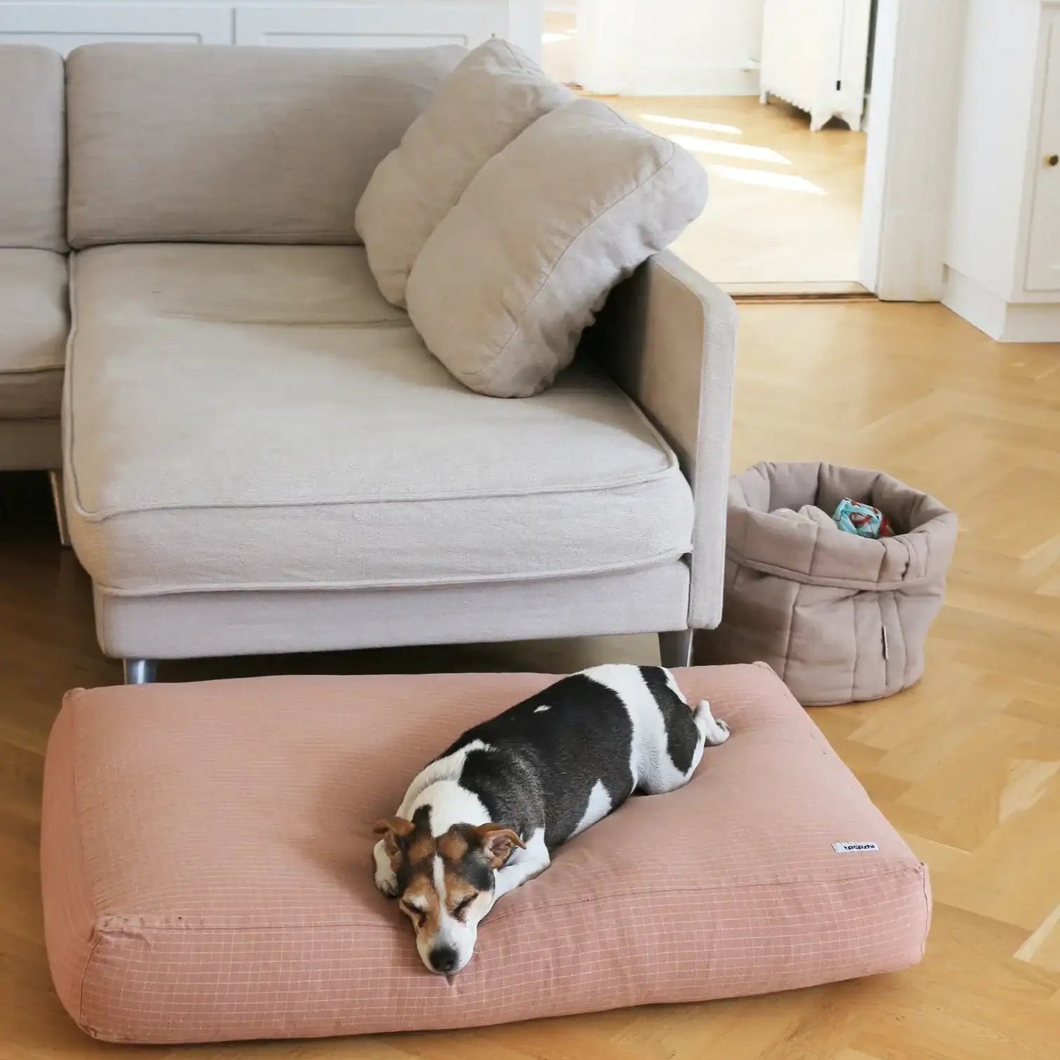 Scandanavian style pet storage basket showcase in a living room with dog 