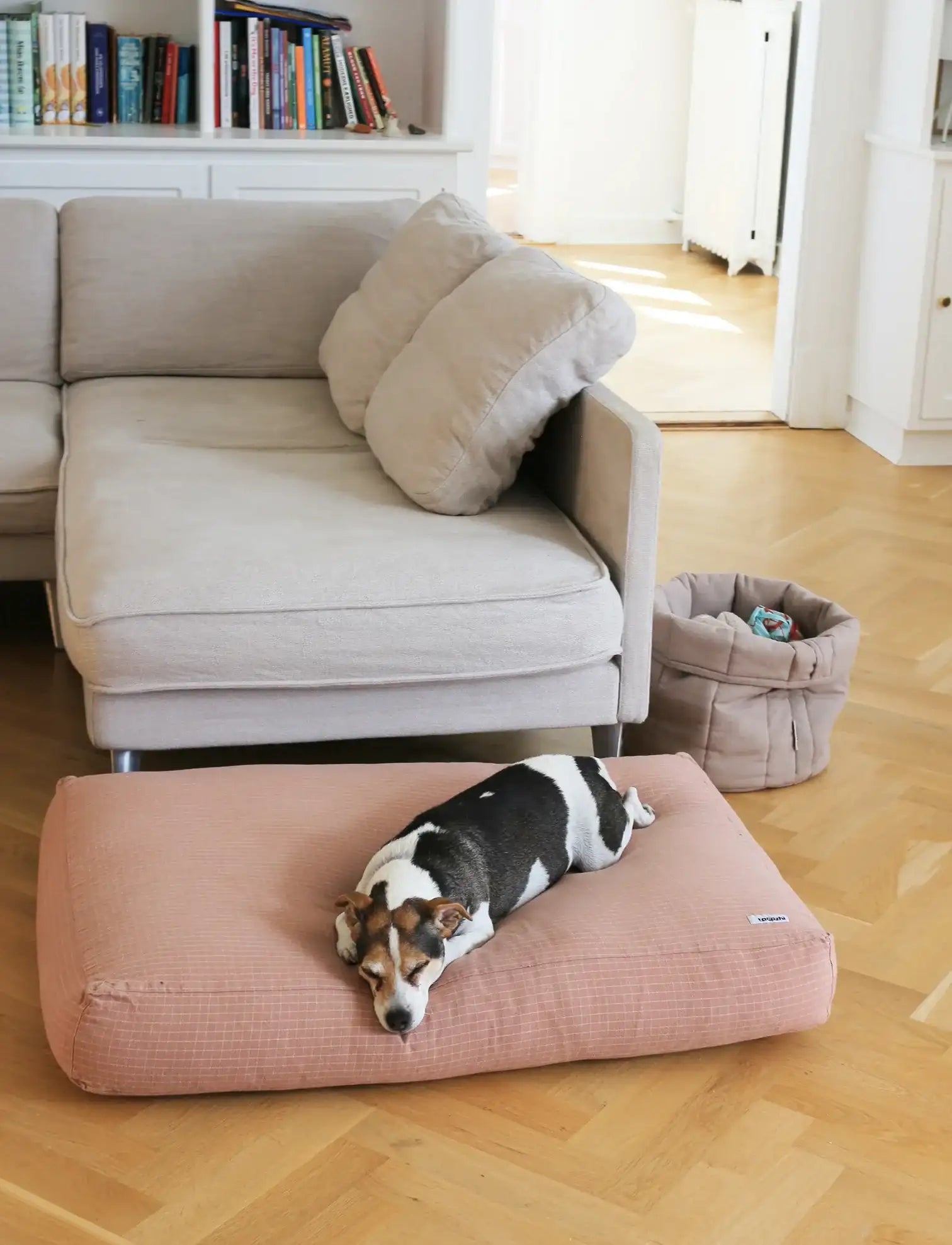 Scandanavian style pet storage basket showcase in a living room with dog 