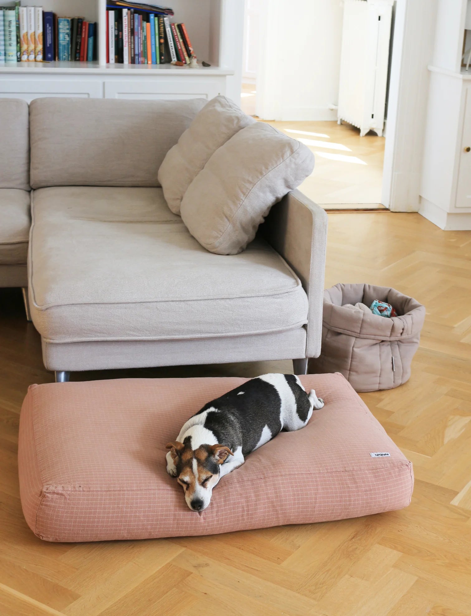 Scandanavian style pet storage basket showcase in a living room with dog 