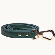 Green vegan leather dog leash with polished gold clasp, minimalist and durable design from Lumi Pets Walk collection