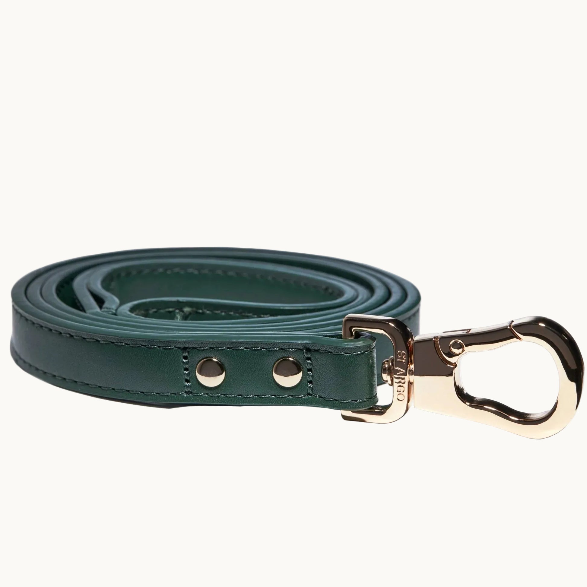 Green vegan leather dog leash with polished gold clasp, minimalist and durable design from Lumi Pets Walk collection