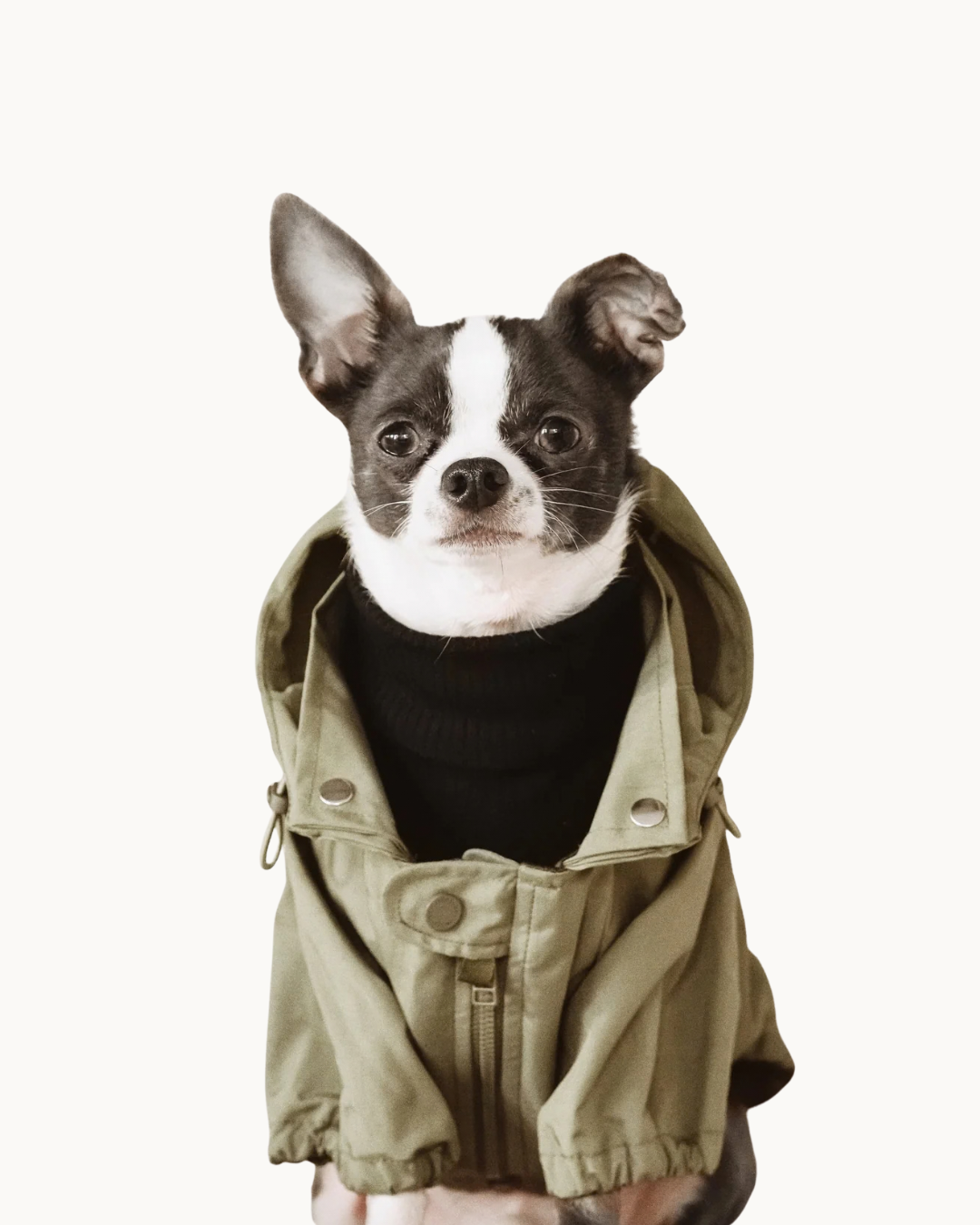 Brooklyn Raincoat - Fern