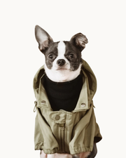 Brooklyn Raincoat - Fern