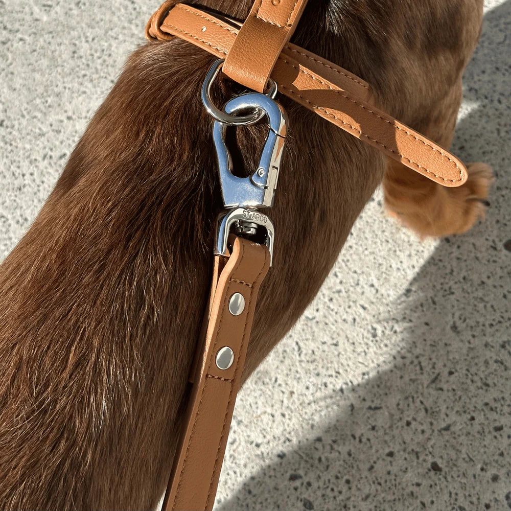Vegan Leather Harness Walk Set
