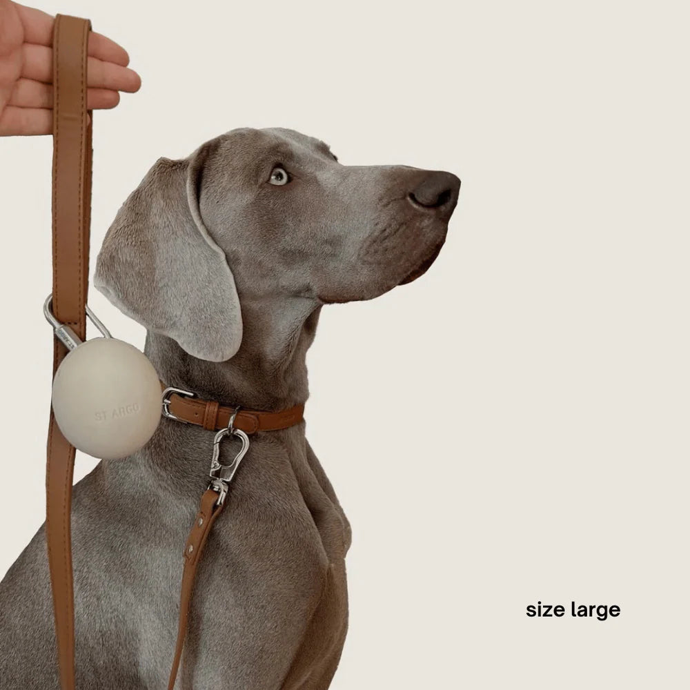 Vegan Leather Collar Walk Set