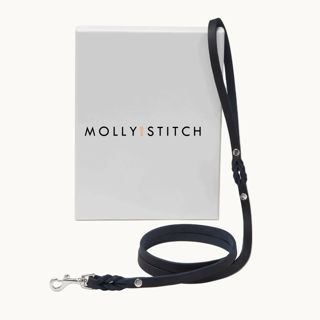 Handcrafted Molly & Stitch butter leather dog leash in blue with silver clasp, shown with branded gift box — minimalist and durable design from Lumi Pets Walk collection