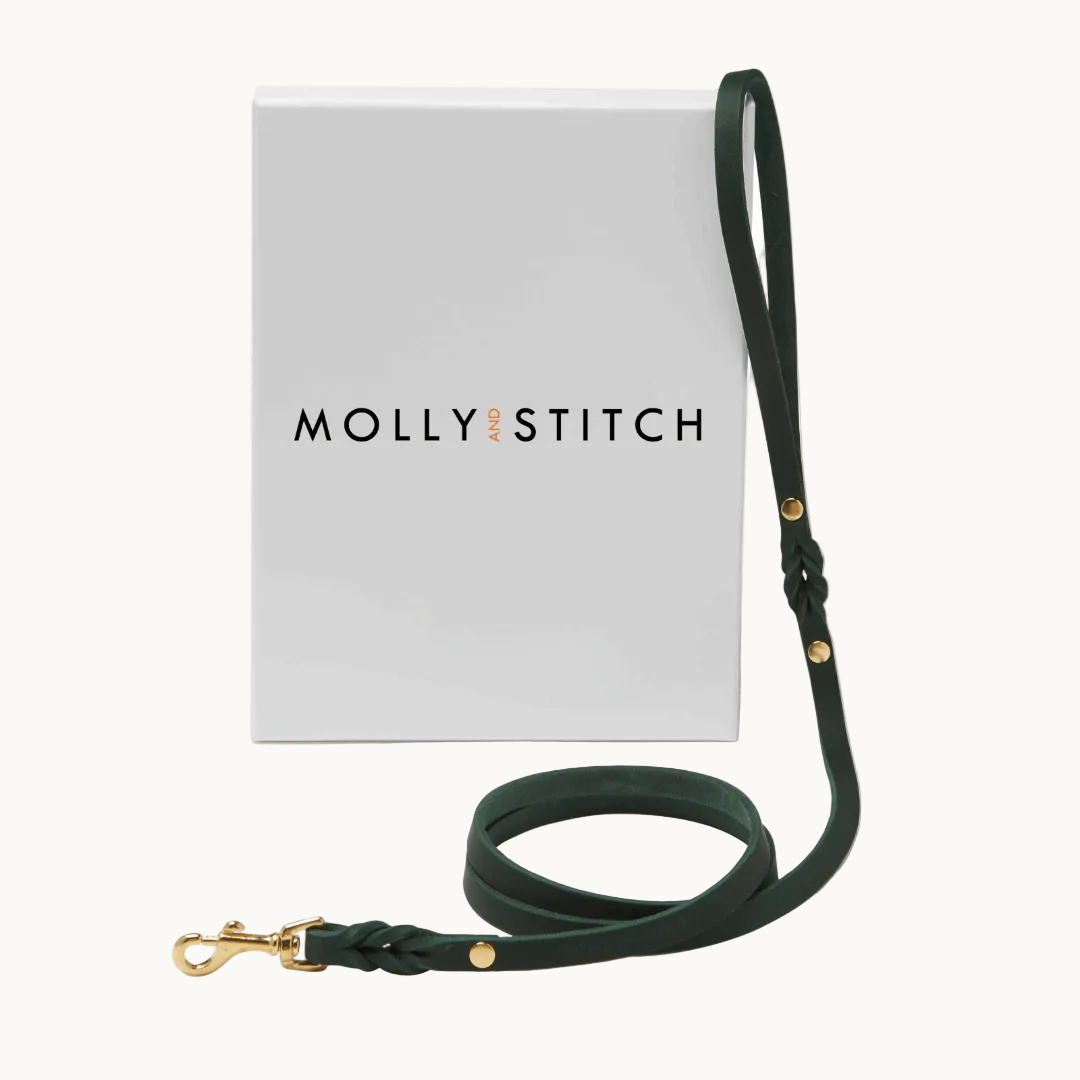 Handcrafted Molly & Stitch butter leather dog leash in green with gold clasp — minimalist and durable design from Lumi Pets Walk collection