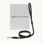Handcrafted Molly & Stitch butter leather dog leash in green with gold clasp — minimalist and durable design from Lumi Pets Walk collection