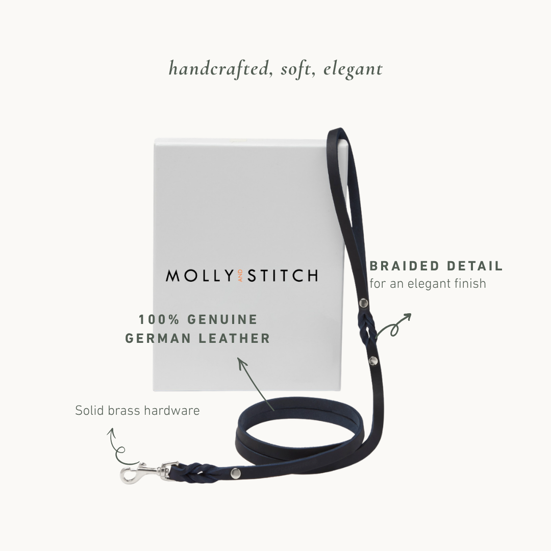 Handmade Butter Leather Dog Leash