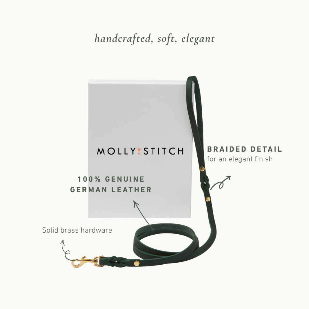 Handmade Butter Leather Dog Leash