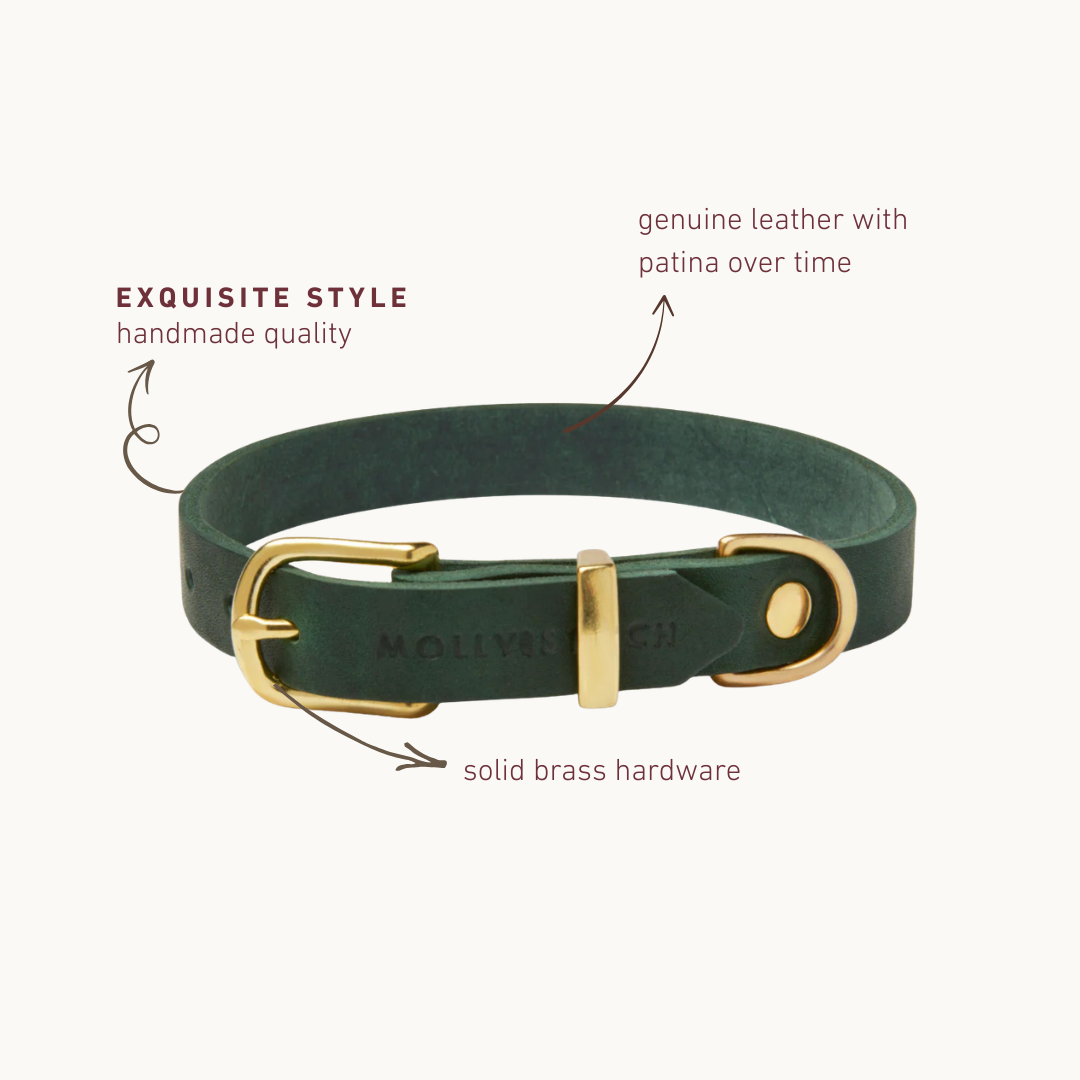 Handmade Butter Leather Dog Collar