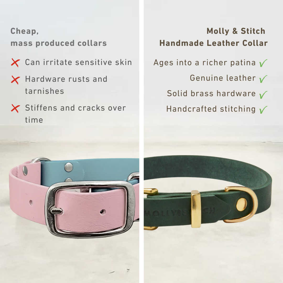 Handmade Butter Leather Dog Collar
