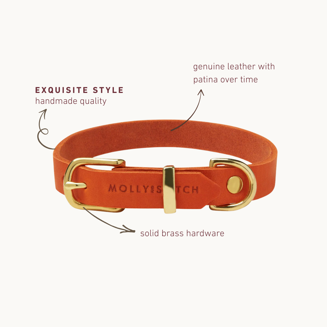 Handmade Butter Leather Dog Collar