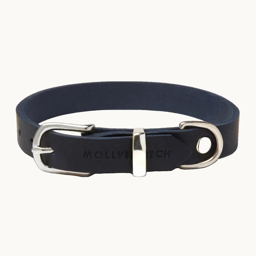 Blue Molly & Stitch butter leather dog collar with silver buckle and hardware, handcrafted minimalist design from Lumi Pets Walk collection