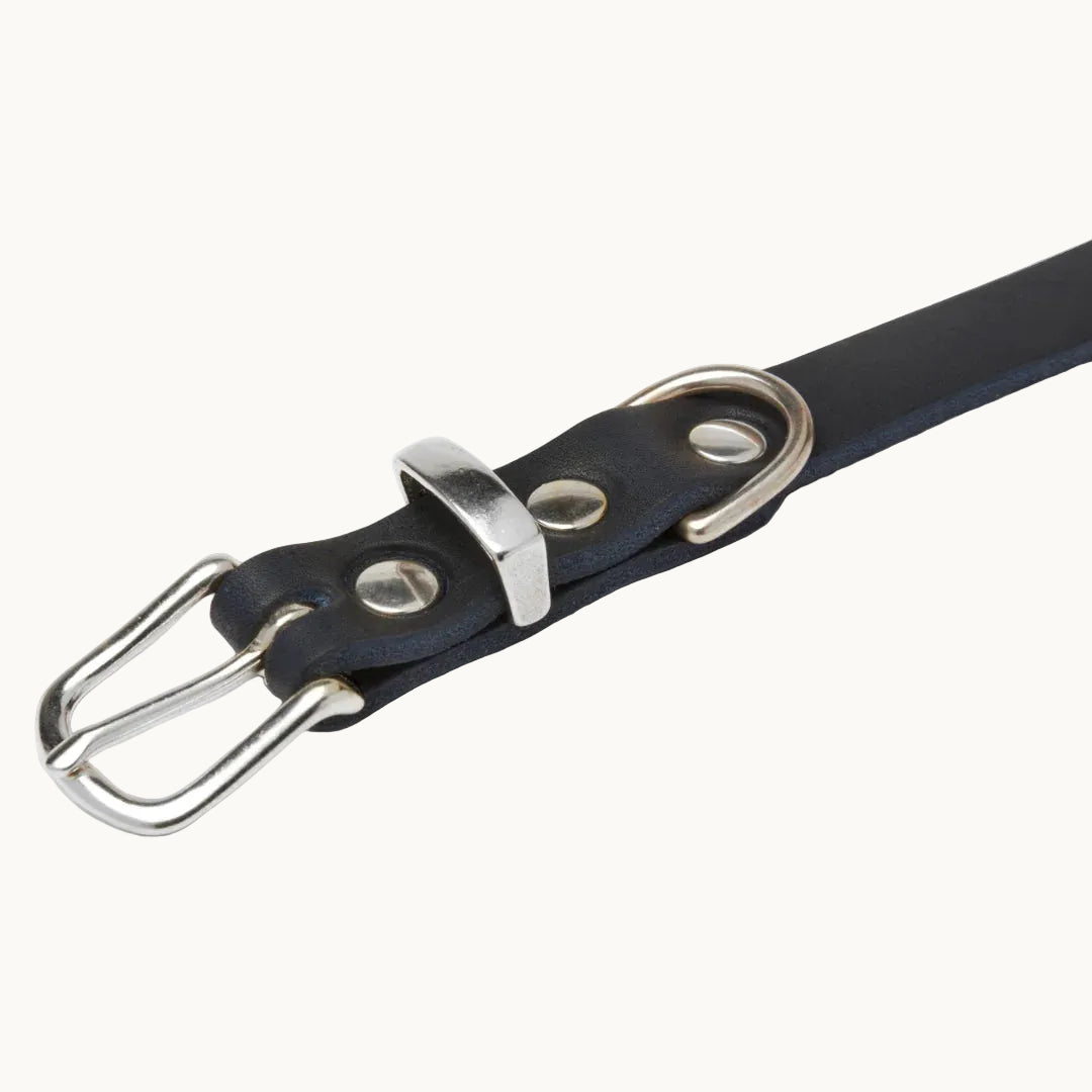 Close-up of Molly & Stitch blue butter leather collar, showing premium stitching and silver hardware