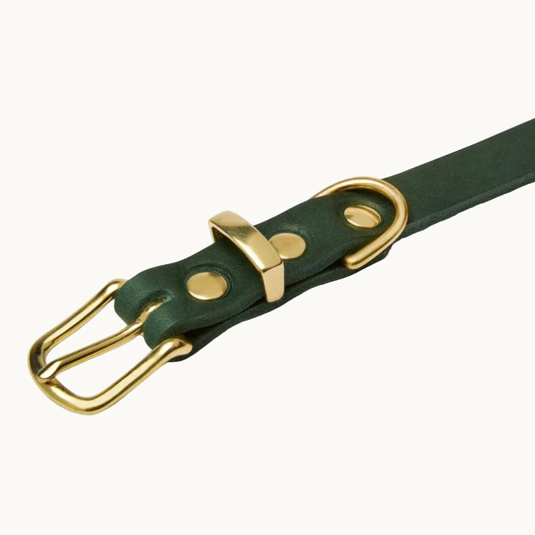 Close-up of Molly & Stitch green butter leather collar, showing premium stitching and gold hardware.