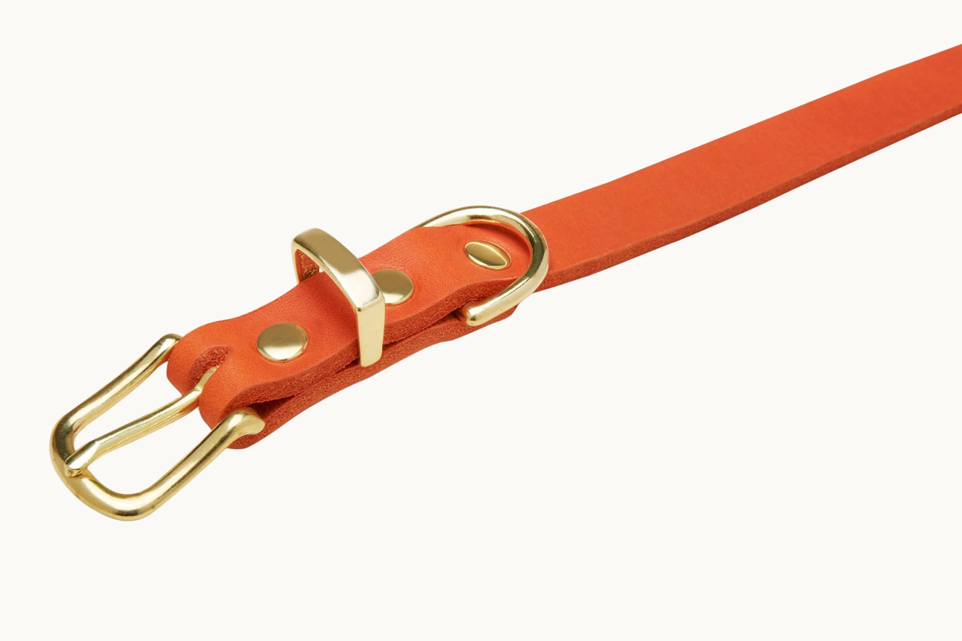 Close-up of Molly & Stitch orange butter leather collar, showing premium stitching and gold hardware.