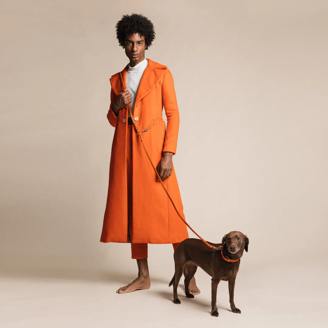 Dog wearing Molly & Stitch butter leather collar in orange, elegant and durable accessory from Lumi Pets Walk collection