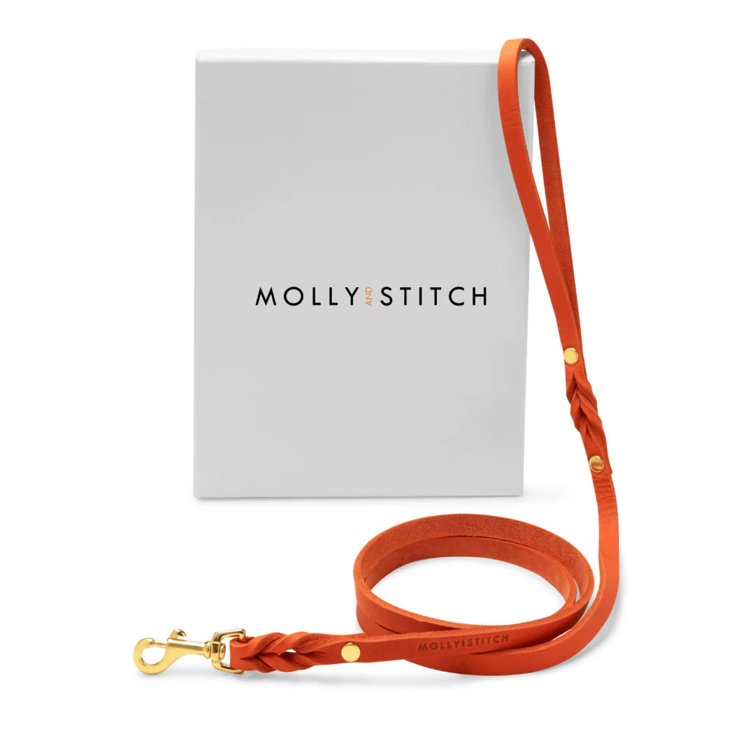 Handcrafted Molly & Stitch butter leather dog leash in orange with gold clasp — minimalist and durable design from Lumi Pets Walk collection.