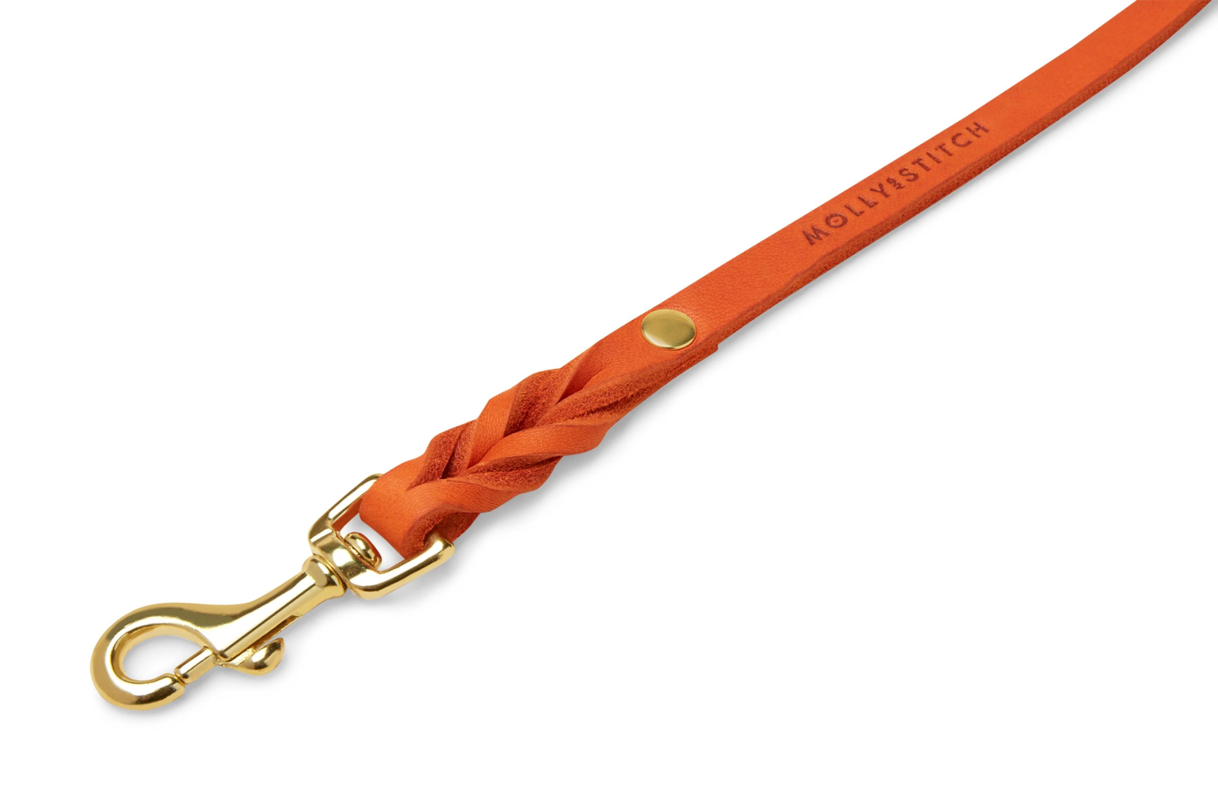 Close-up of Molly & Stitch orange butter leather leash, highlighting braided detail and polished gold clasp.