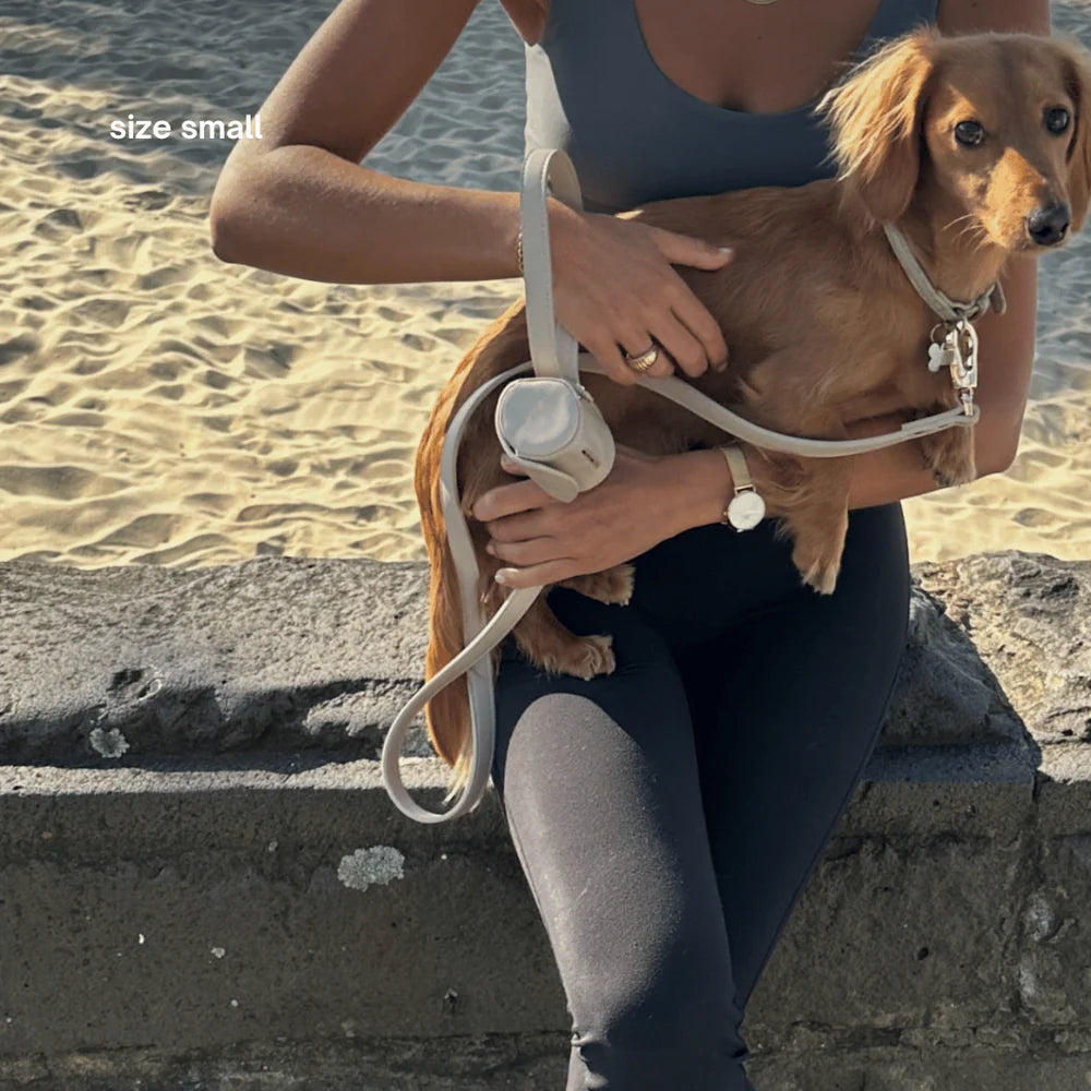 Person holding a small dog by the beach with text 'size small' displayed.
