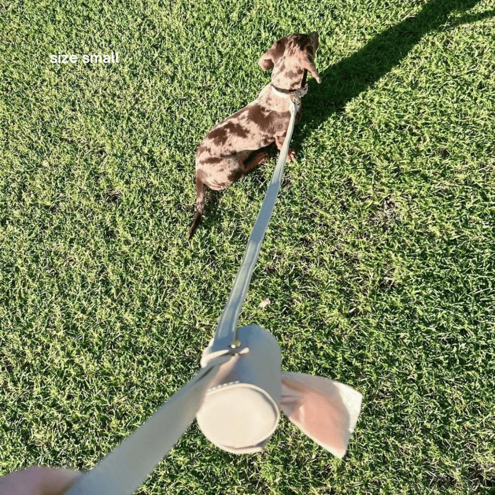 Dog on a leash held by a person on grass