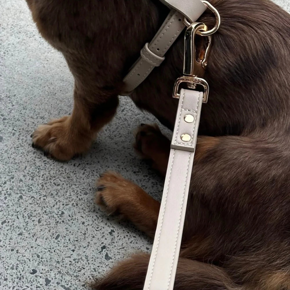 Close-up of vegan leather dog leash stitching and polished gold hardware, beige color