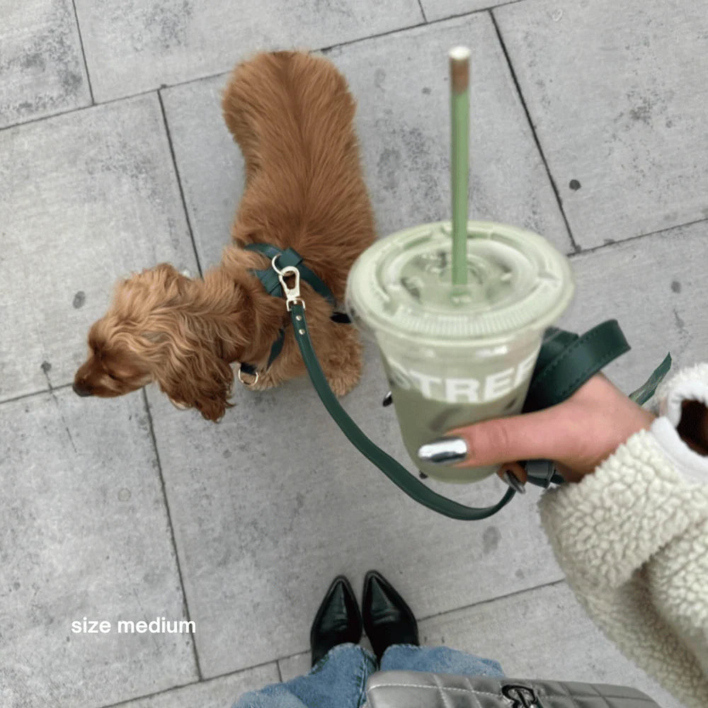 Vegan Leather Harness