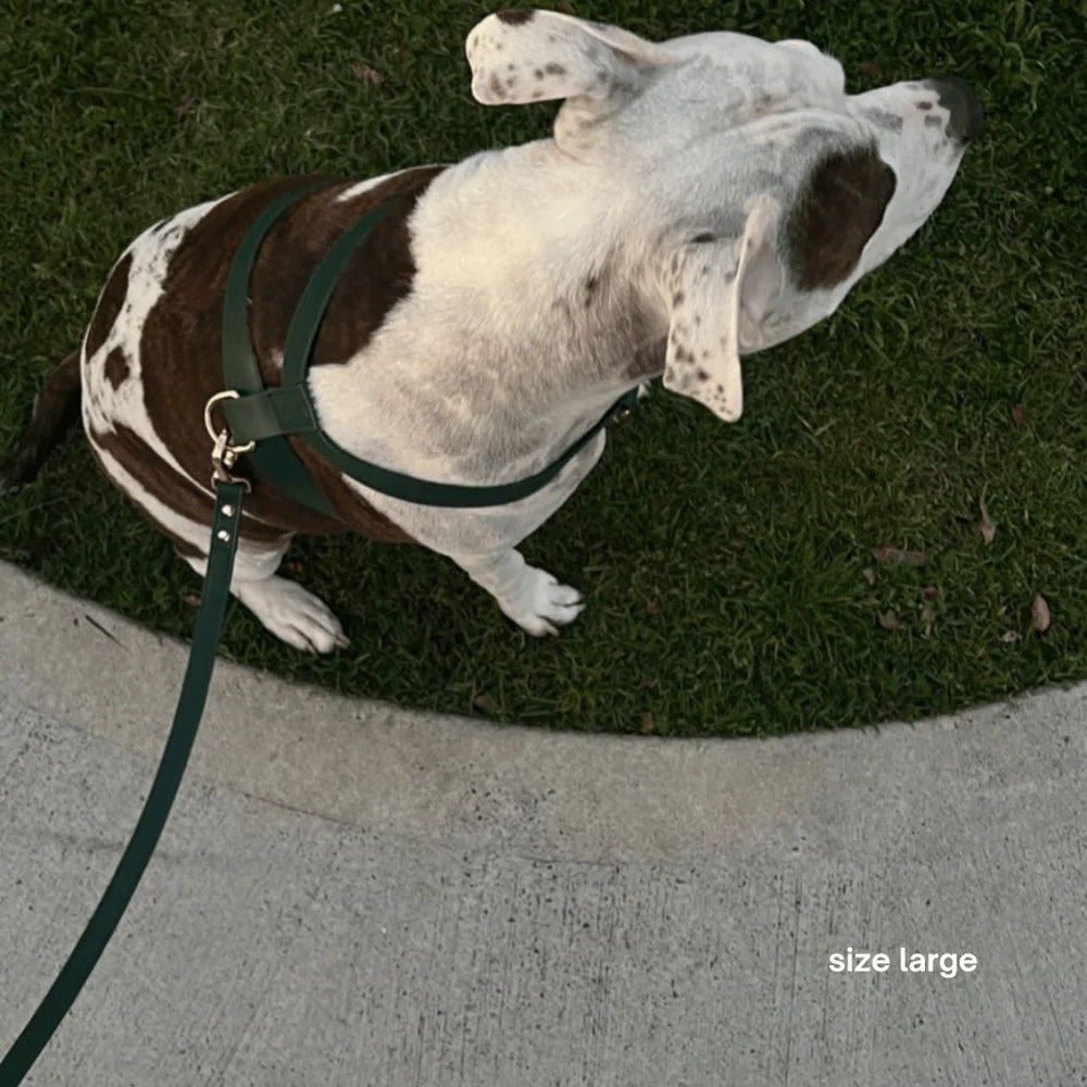 Vegan Leather Harness
