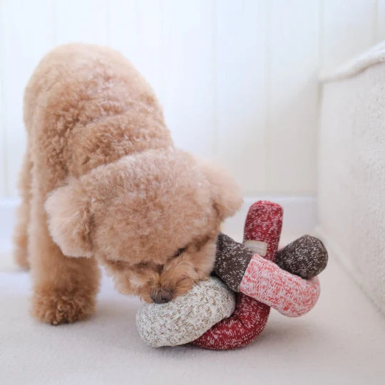 Nou Shape-Shifting Toy