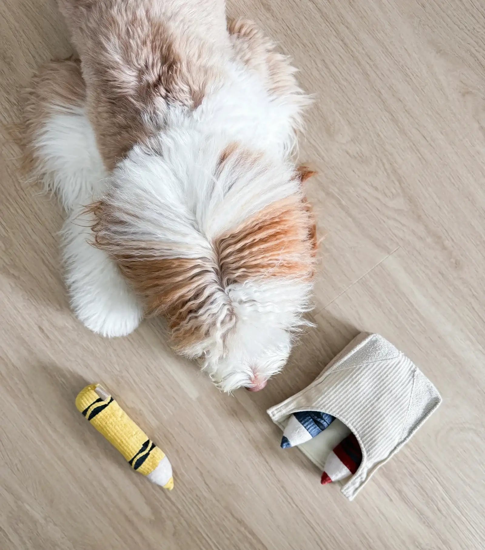 Lambwolf Collective plush dog toy crayons in red, yellow, and blue with matching fabric pouch for enrichment play.