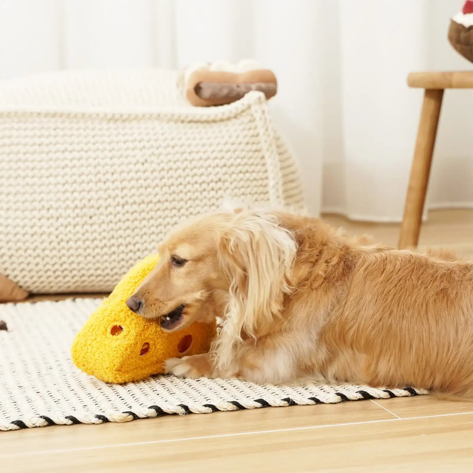 Dog playing with Lambwolf Collective Fromage plush cheese toy, interactive and whimsical play accessory