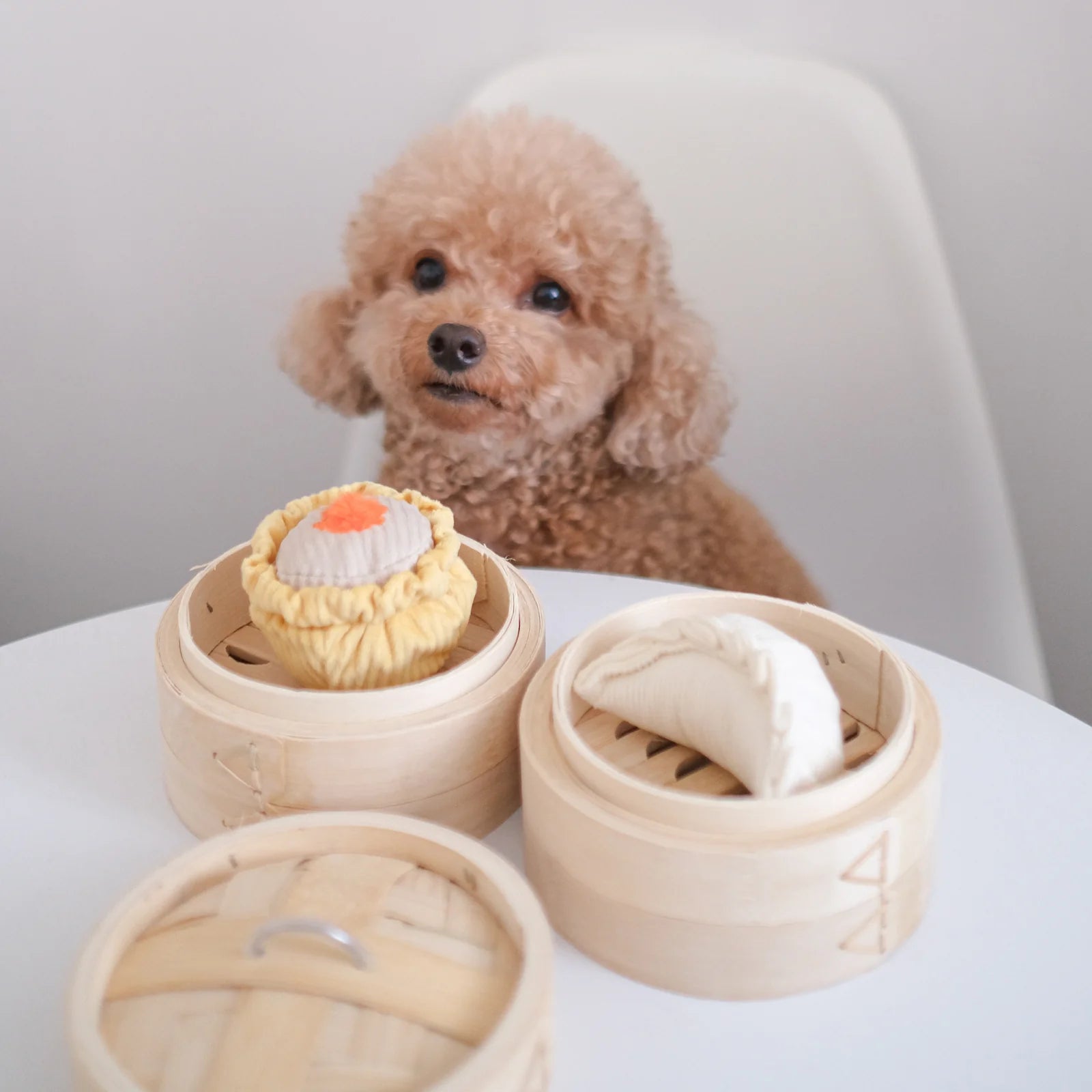 Dog  posting with Lambwolf Collective Dimsum Pop plush toy, fun hide-and-seek enrichment activity.