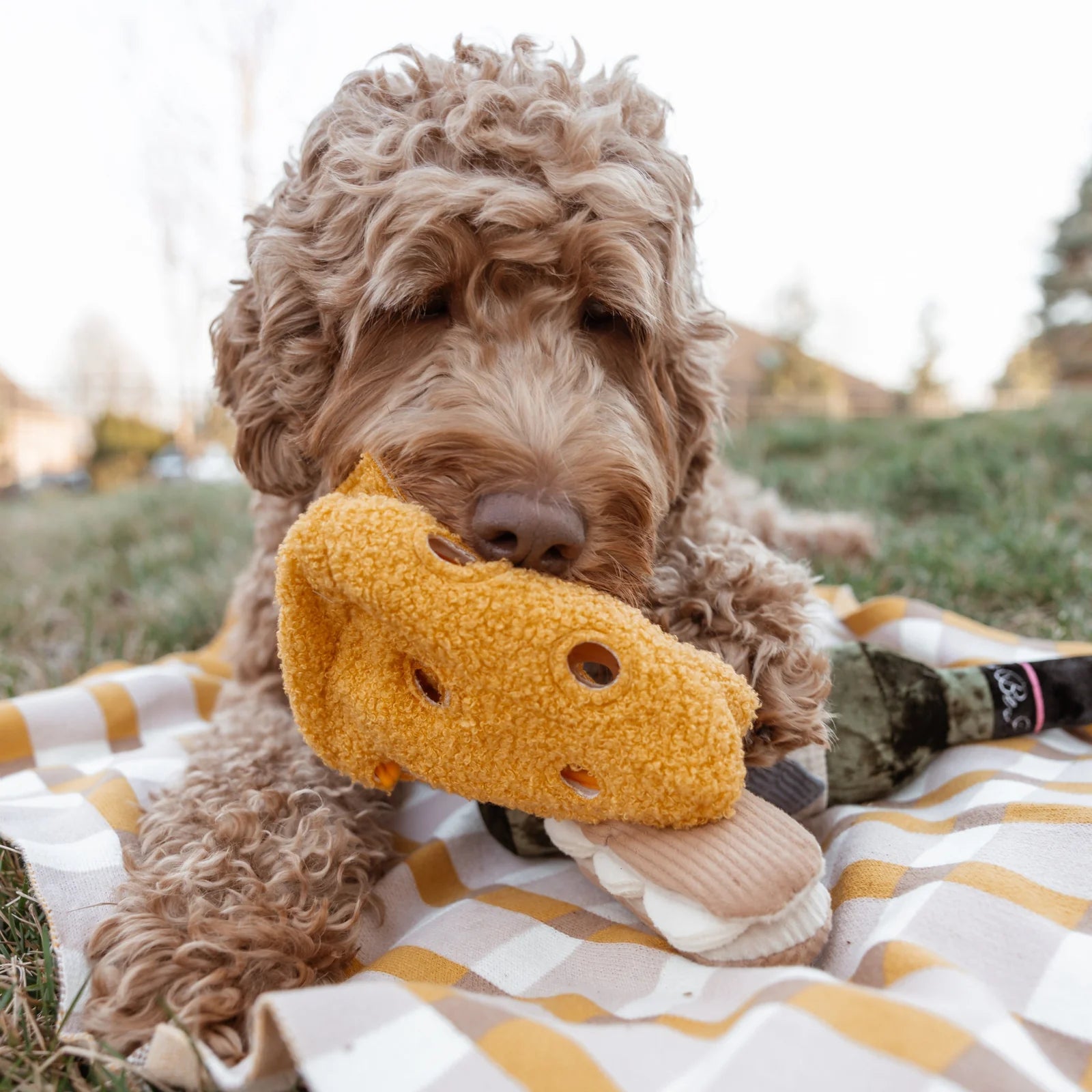 Dog playing with Lambwolf Collective Fromage plush cheese toy, interactive and whimsical play accessory