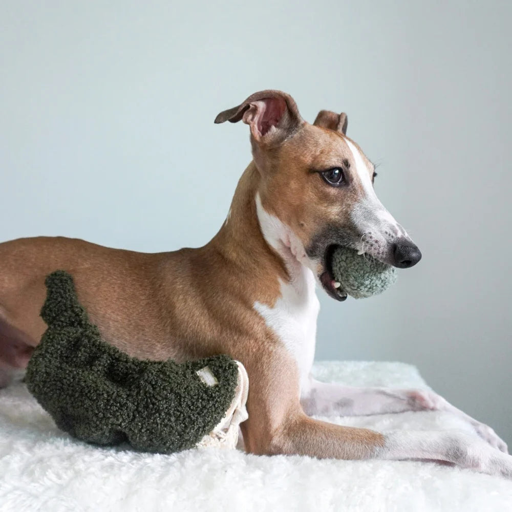 Dog playing with Lambwolf Collective Pea Pop interactive plush toy, engaging hide-and-seek pea pod design.