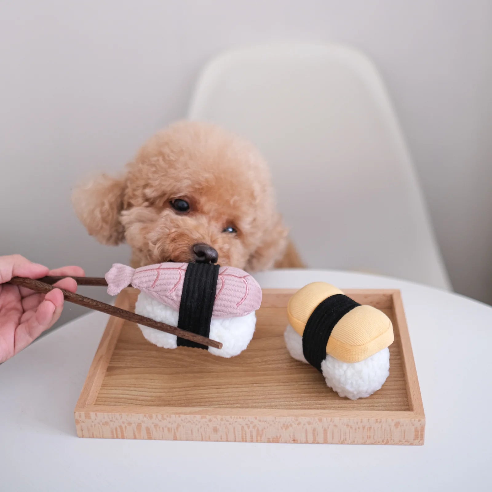Dog playing with Lambwolf Collective Sushi Set plush toys, tamago and shrimp nigiri designs for enrichment play.