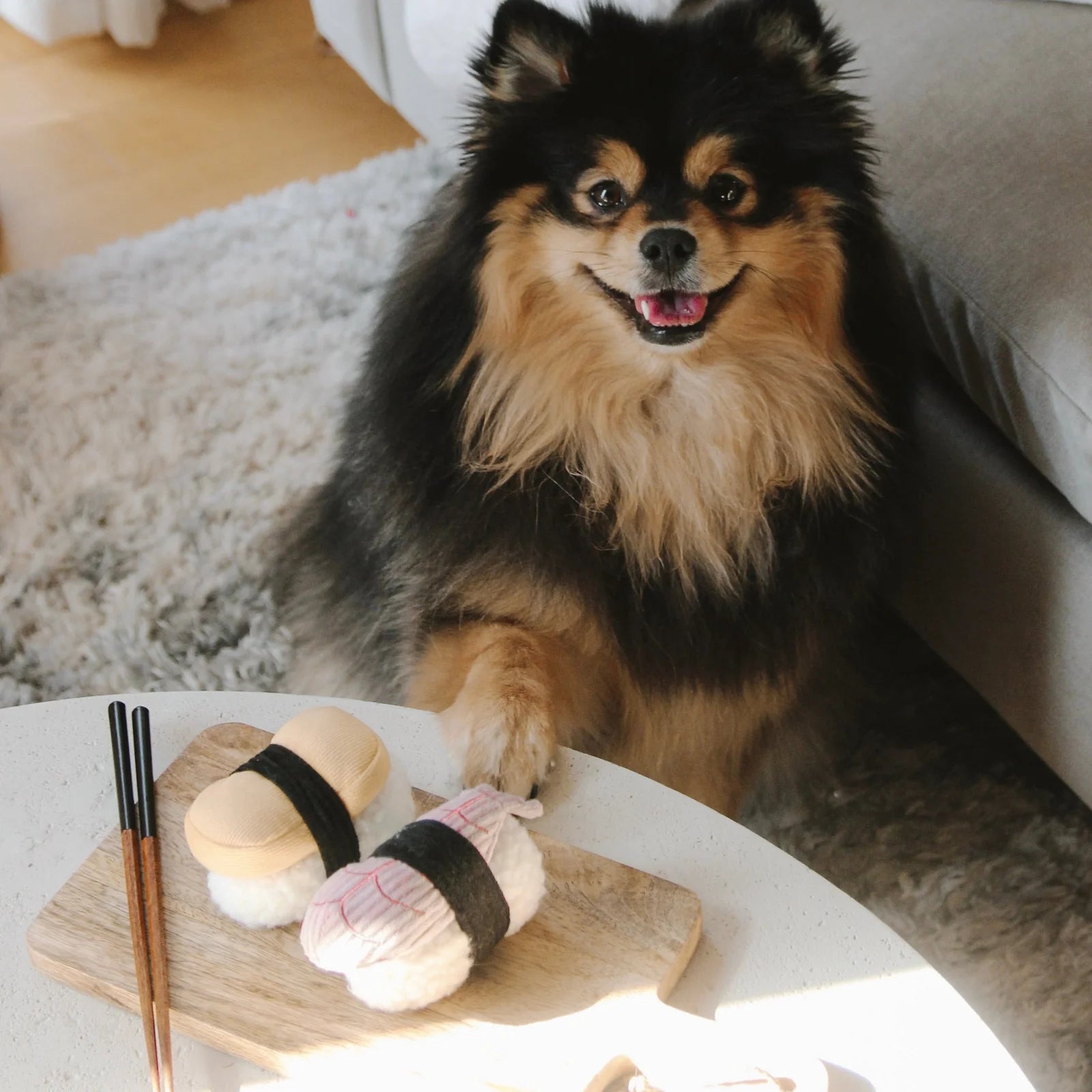 Dog posting with Lambwolf Collective Sushi Set plush toys, tamago and shrimp nigiri designs for enrichment play.