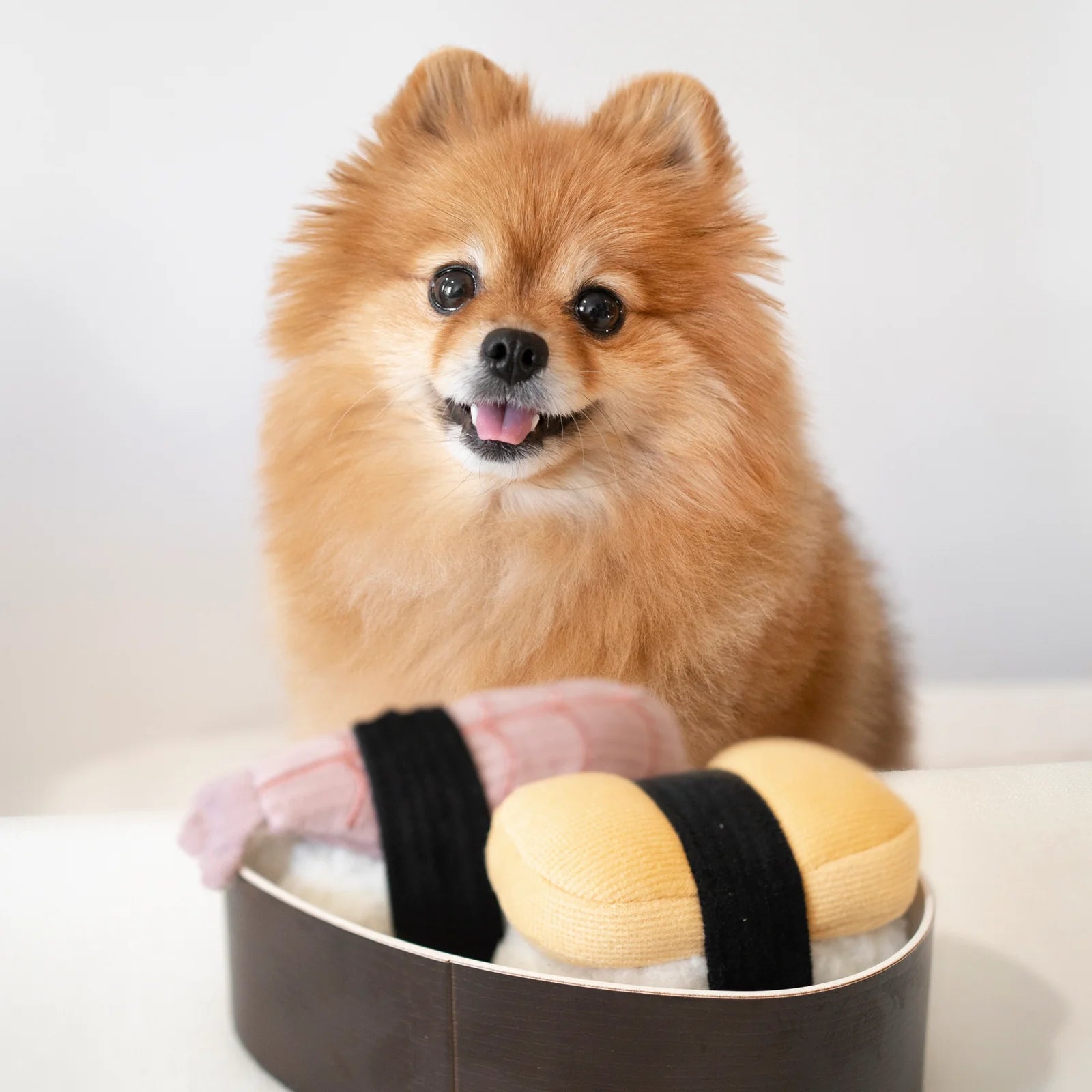 Dog posting with Lambwolf Collective Sushi Set plush toys, tamago and shrimp nigiri designs for enrichment play.
